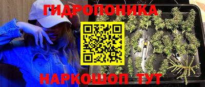 MESCALINE Новозыбков