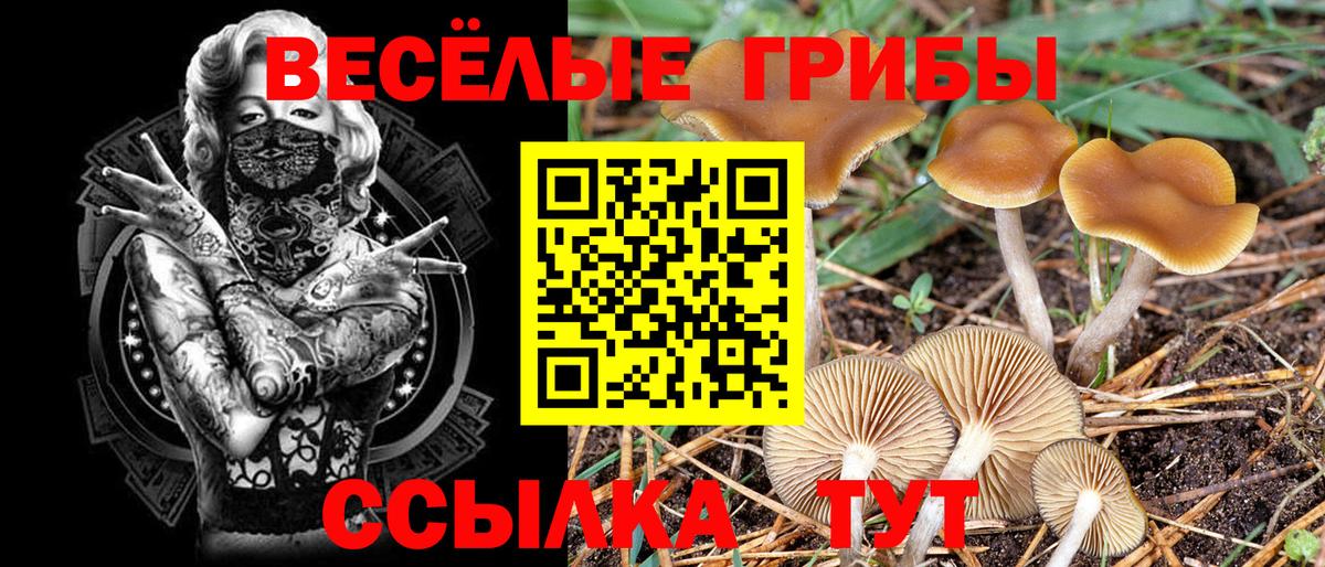 Галлюциногенные грибы GOLDEN TEACHER Сургут
