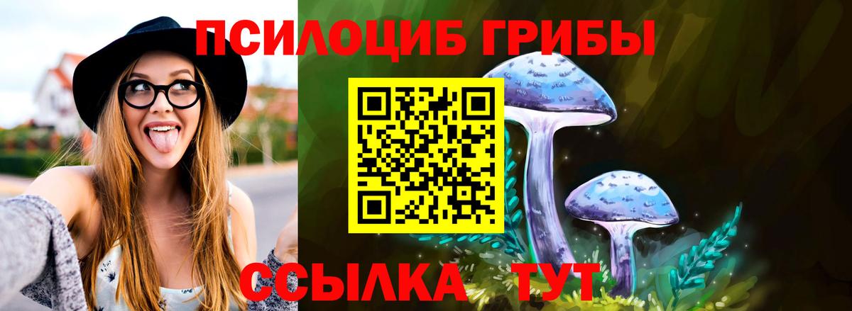 Сургут  Галлюциногенные грибы мухоморы  Галлюциногенные грибы GOLDEN TEACHER  Вход с VPN 